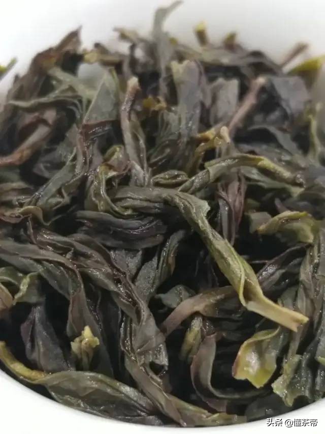 什么是半发酵乌龙茶_乌龙茶是发酵茶还是半发酵茶