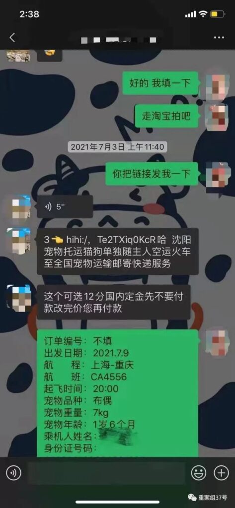 金毛siri之死事件_宠物托运背后的暗箱操作