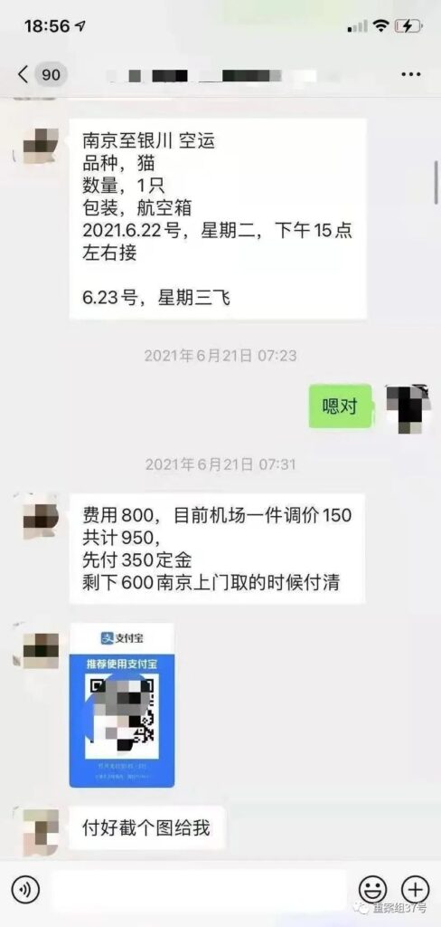 金毛siri之死事件_宠物托运背后的暗箱操作