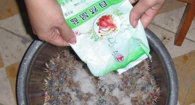 沙蟹能吃吗_沙蟹的做法
