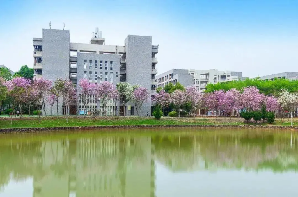 广东省2b学校排名_2021年度高等职业院校排行