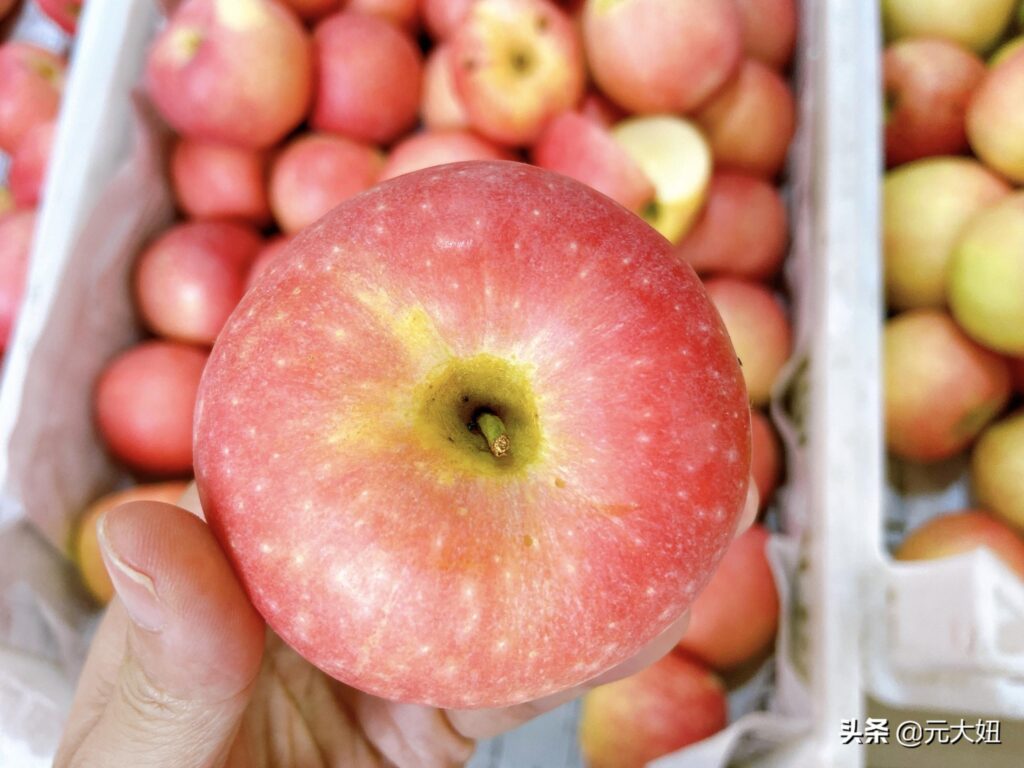 地面苹果和冷库果区别_怎么挑的苹果新鲜又脆甜