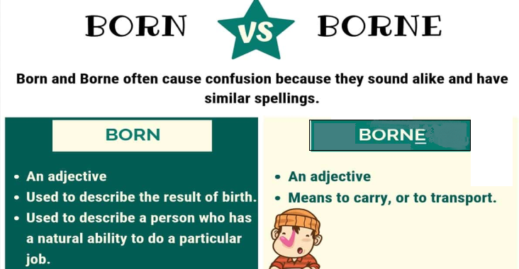 born和borne的区别_用法造句