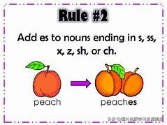 peach的复数形式是什么_名词复数变化规则