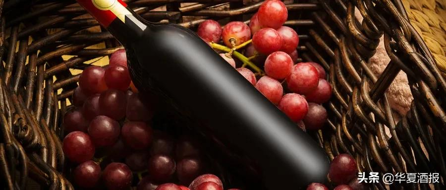 葡萄酒的理化指标是什么意思_保质期和适饮期有什么区别