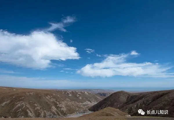 中国海拔最高的盆地是什么_四大盆地海拔的对比数据