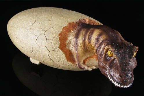 恐龙蛋有多大_南极洲发现了恐龙时代最大的动物卵