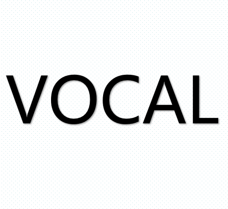 vocal是什么意思_单词发音短语搭配解释例句