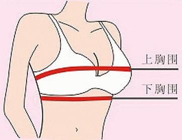 胸罩abc是什么意思_文胸abc是怎么推算出来的