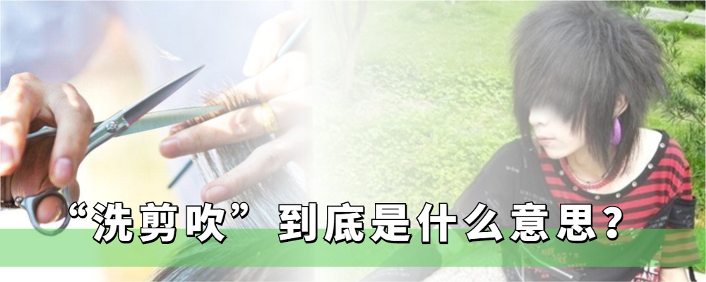 洗剪吹什么意思_洗剪吹的梗