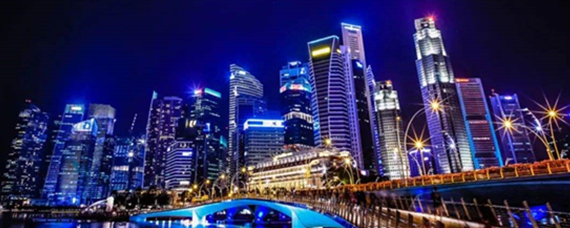 新加坡经济发展较快的主要原因是_经济发展存在的弊端