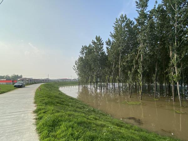 安徽王家坝闸泄洪影响哪里_千里淮河第一闸是什么坝
