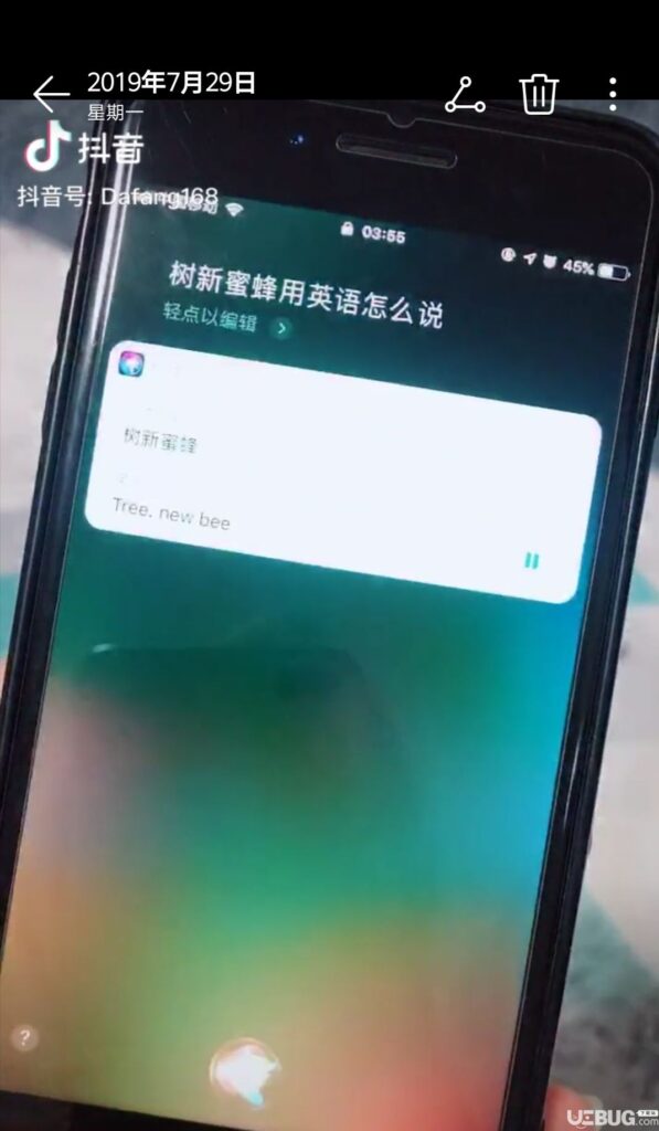 树新蜜蜂用英语怎么说_sir翻译树新蜜蜂