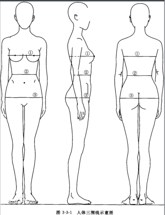 三围尺寸是指哪三围_女性身体的脂肪分布