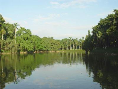 洪泽湖在哪个省份面积是多少_自然地理历史发展形成原因水文水系主要河道