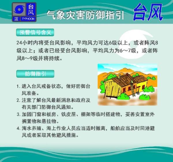 为什么叫鹦鹉台风_台风预警信号分别代表什么不同的含义