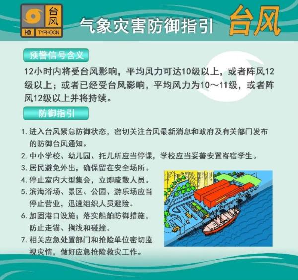 为什么叫鹦鹉台风_台风预警信号分别代表什么不同的含义