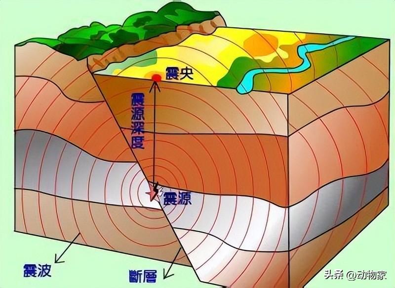 5级地震算严重吗_震级是如何区分和震级的威力