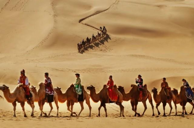骆驼的驼峰里主要储存的是什么_驼峰里储存的是不是水