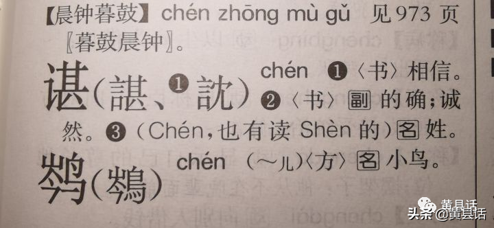 谌姓氏怎么读_谌作为姓氏为什么一个读chén一个shèn呢