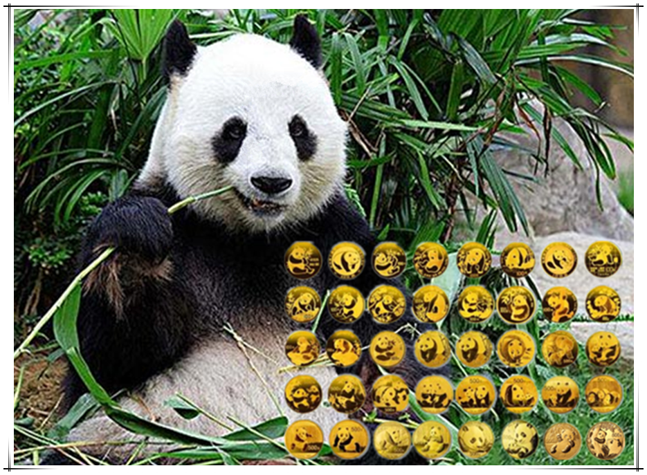 世界野生生物基金会会徽是哪种动物_大熊猫的上位史