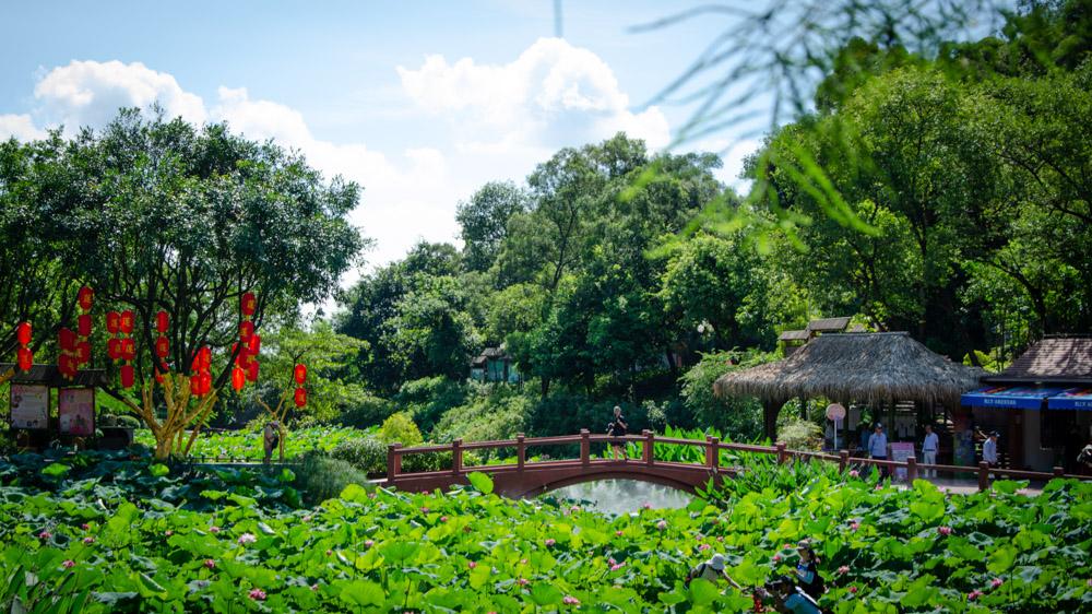 广州的莲花山好玩吗_莲花湖美景