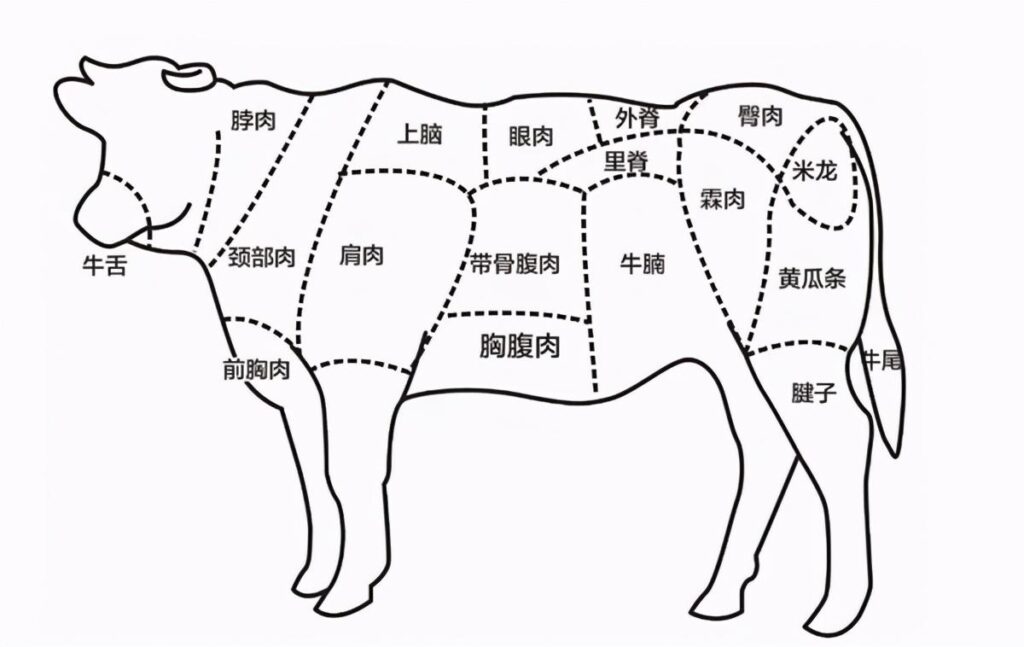 肥牛不包括哪个部位_肥牛会用到哪些牛肉