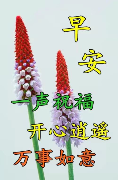 什么时候父亲节_全世界的父亲节是同一天吗