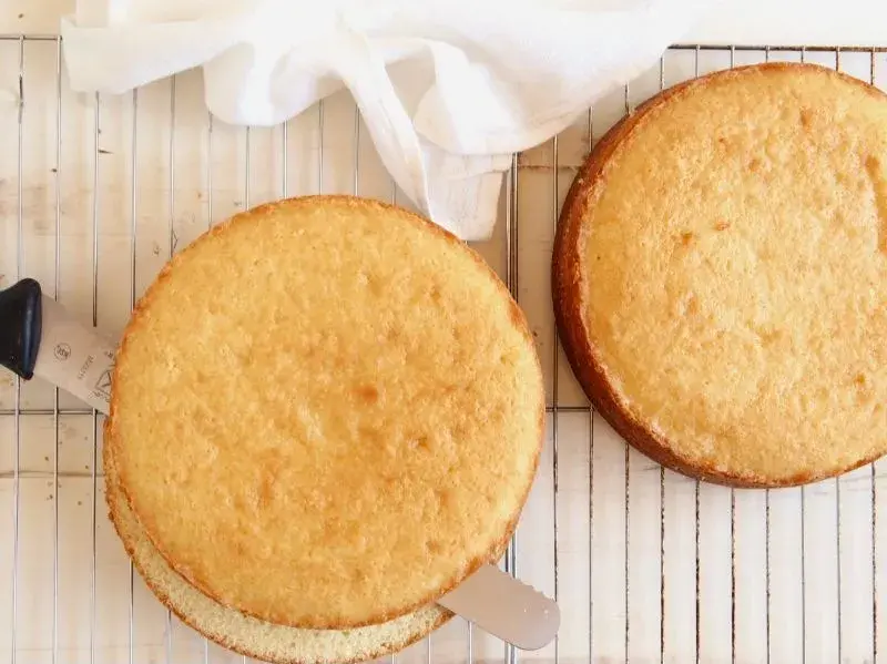 切蛋糕时怎么做可以使切口平整_面包蛋糕的切法
