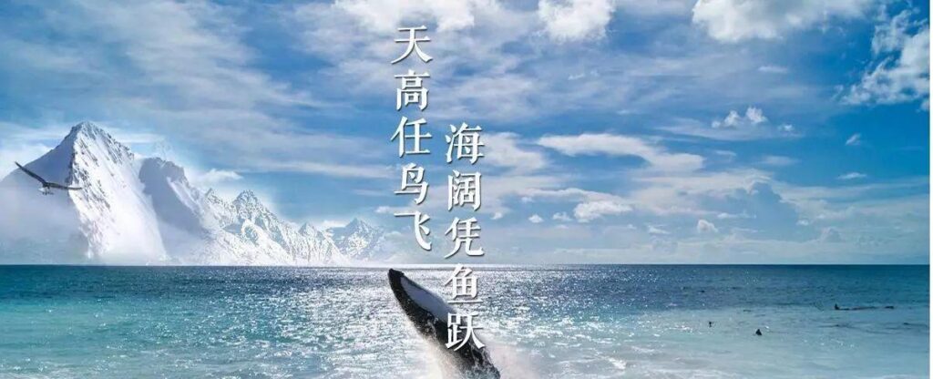 天高任鸟飞海阔凭鱼跃意思_习近平说这句话的意思