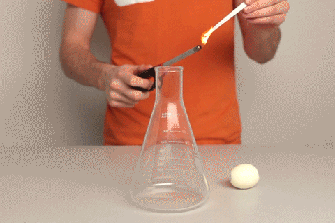 盐水浮蛋的原理是什么_简单的鸡蛋小实验有哪些