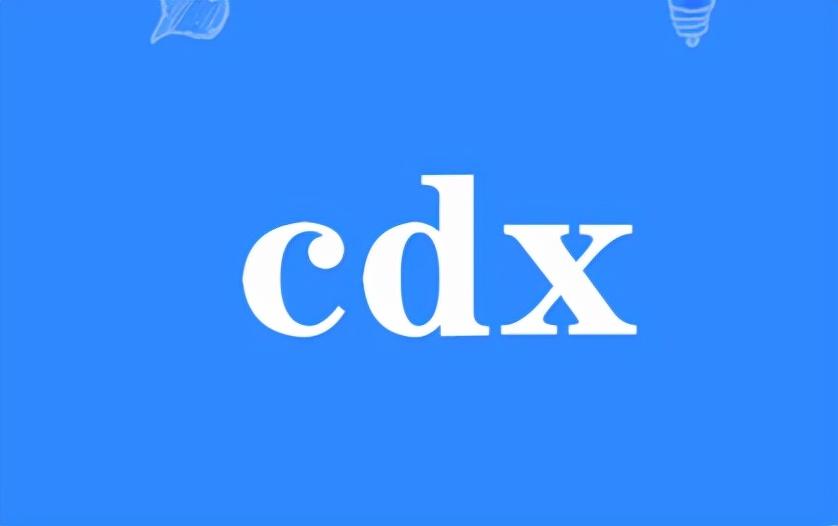 cdx什么意思_cdx的含义