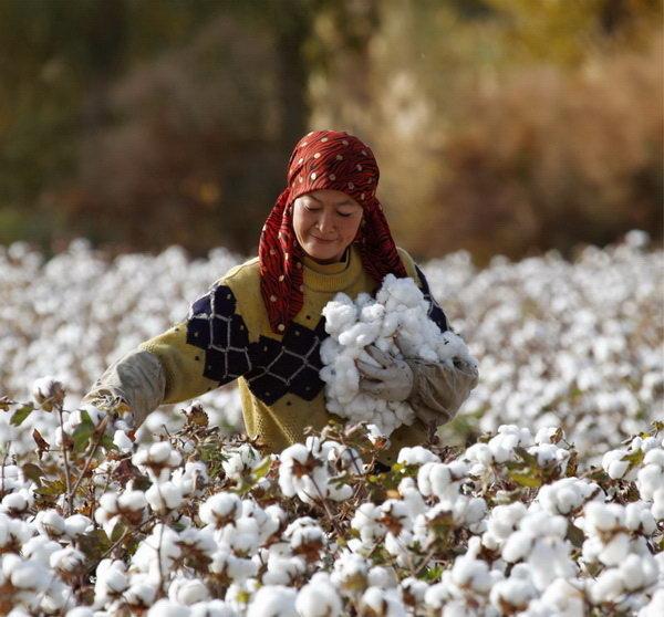 新疆棉花事件起因是什么_BCI是什么意思
