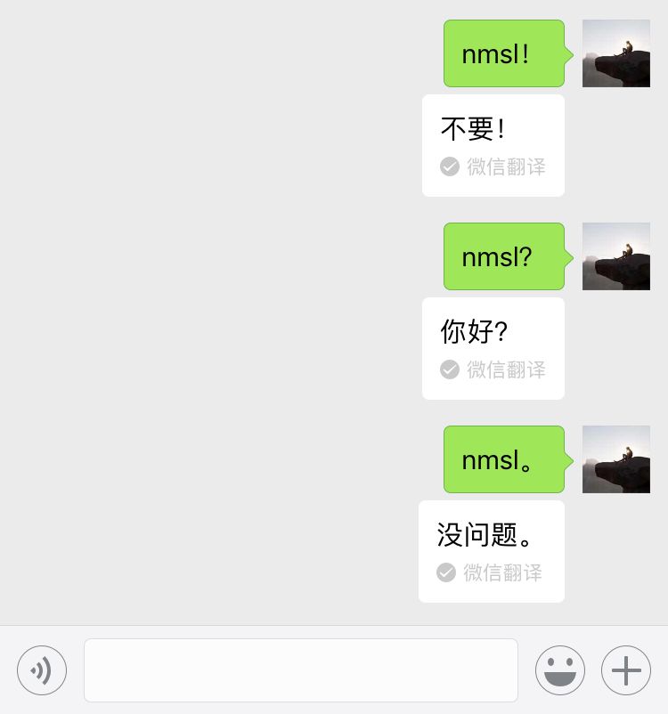 nmsl什么意思网络用语_微信隐藏彩蛋