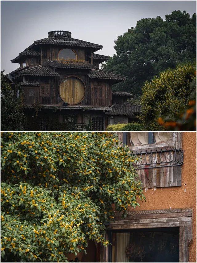 十月一去哪里旅游好玩_十月一去哪里旅游最好