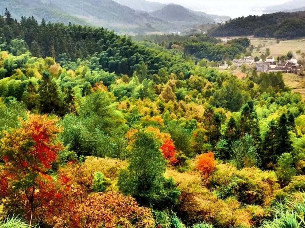十月一去哪里旅游好玩_十月一去哪里旅游最好