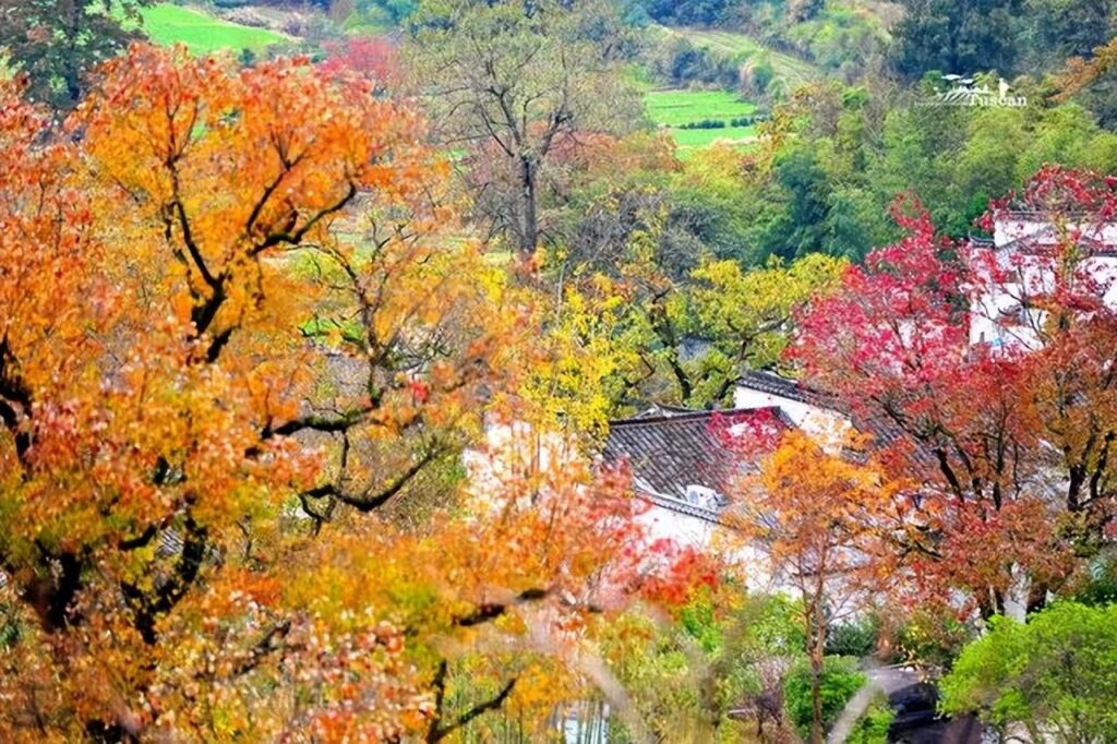 十月一去哪里旅游好玩_十月一去哪里旅游最好