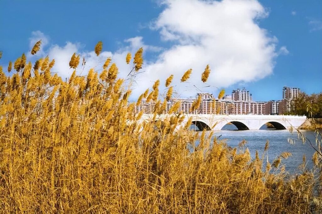 十月一去哪里旅游好玩_十月一去哪里旅游最好