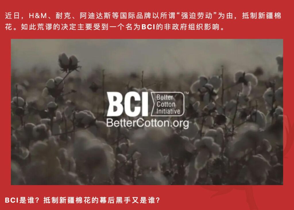新疆棉花事件起因是什么_BCI是谁
