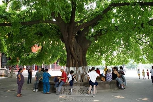 大道朝天各走一边什么意思_有趣的谚语大全