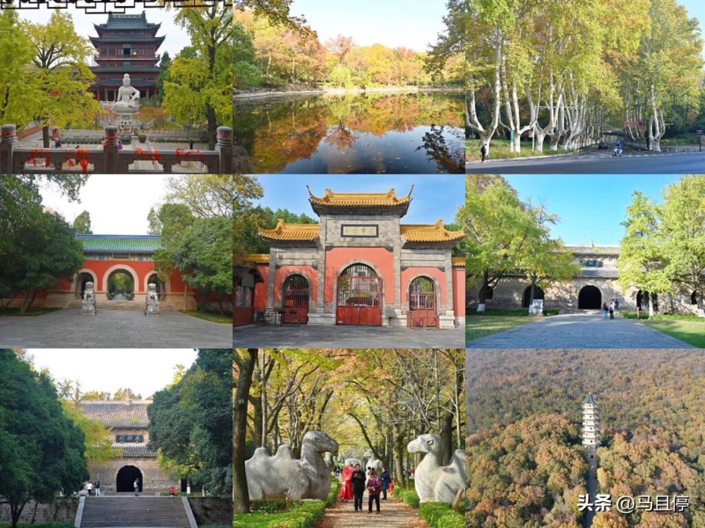 南京好玩的地方排行榜_南京十大旅游景点排名