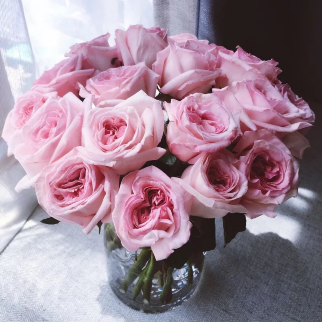 各种玫瑰花的含义_代表爱情的花有哪些