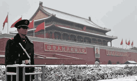 站岗的是武警警卫还是内卫_武警的职责是什么