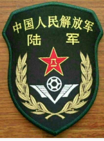 中国多少军队_发展沿革组织机构主要标志