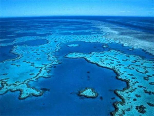 世界上最大的海是什么_地质地形气候条件