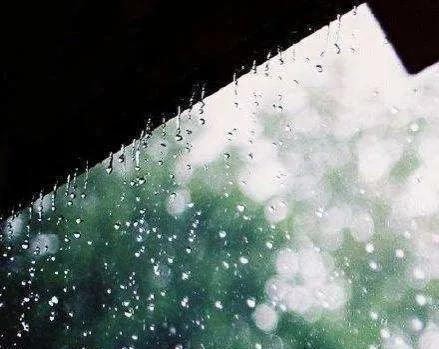 都怪雨下的那么急是什么歌的歌词_哪些带雨的歌词