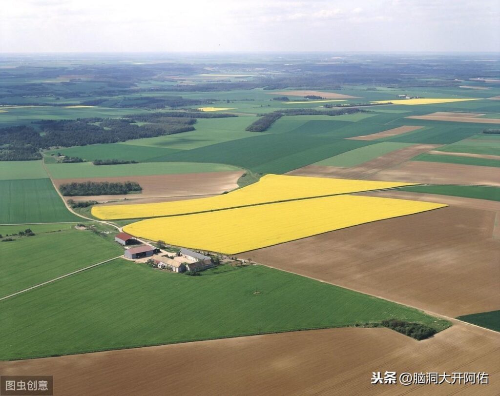 世界上生产玉米最多的国家是哪里_玉米产量多少