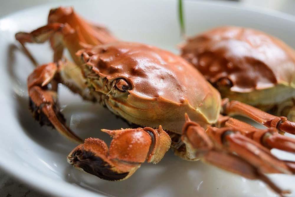 如何煮螃蟹好吃又简单_蒸螃蟹和煮螃蟹的区别