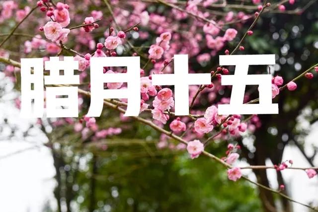 腊月十五是什么日子_有什么习俗禁忌