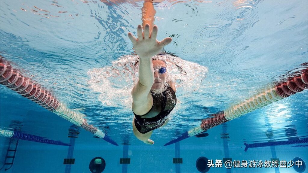自由泳初级教学流程_游泳入门技巧